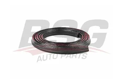 bsg-30-936-003-bagaj-toz-lastigi