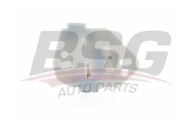 bsg-30-966-011-cam-kriko-plastigi