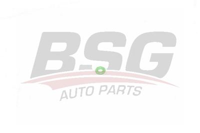bsg-30-995-050-mazot-geri-donus-hortum-oringi