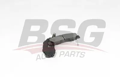 bsg-35-200-011-fren-balatasi-on