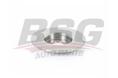 bsg-35-210-014-fren-diski-arka