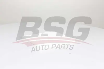 bsg-40-145-019-polen-filtresi