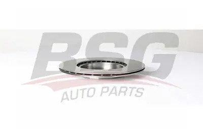 bsg-40-210-020-fren-diski-on