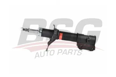 bsg-40-300-004-amortisor-on-sag