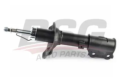 bsg-40-300-005-amortisor-on-sol