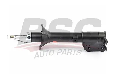 bsg-40-300-010-amortisor-arka-sag