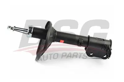 bsg-40-300-012-amortisor-arka-sag
