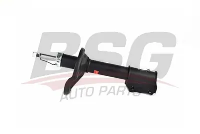 bsg-40-300-013-amortisor-arka-sol