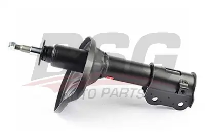 bsg-40-300-016-amortisor-on-sag