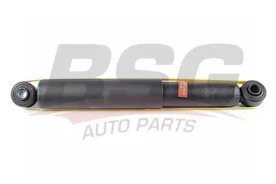 bsg-40-300-035-amortisor-arka