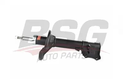 bsg-40-300-038-amortisor-arka-sag