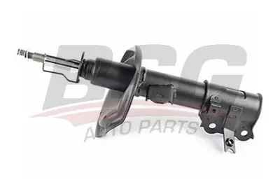 bsg-40-300-048-amortisor-on-sol