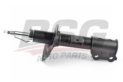 bsg-40-300-050-amortisor-on-sag