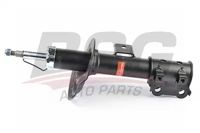 bsg-40-300-051-amortisor-on-sol