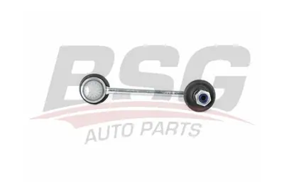 bsg-40-310-120-viraj-aski-rotu-arka