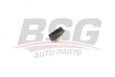 bsg-40-700-167-motor-yag-kapagi