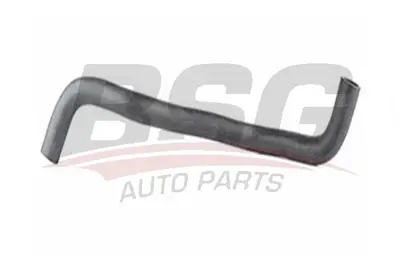 bsg-40-720-030-radyator-hortumu-alt