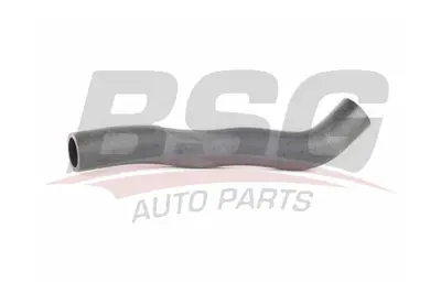 bsg-40-720-057-radyator-hortumu-ust