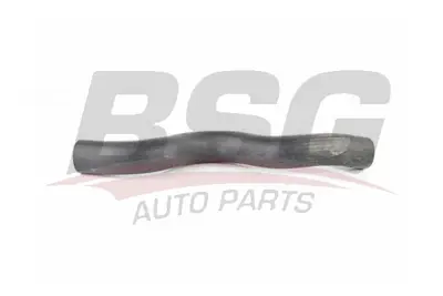 bsg-40-720-059-radyator-hortumu-ust