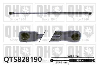 bsg-40-980-053-bagaj-amortisoru