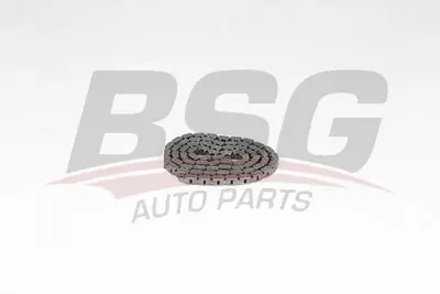 bsg-60-105-001-eksantrik-zinciri