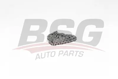 bsg-60-105-005-eksantrik-zinciri