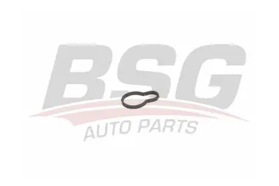 bsg-60-116-005-supap-kapak-alt-conta