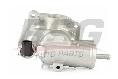 bsg-60-125-006-termostat