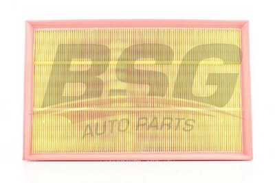 bsg-60-135-002-hava-filtresi