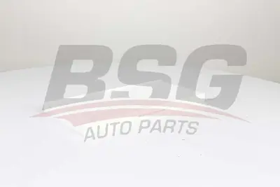 bsg-60-145-017-polen-filtresi