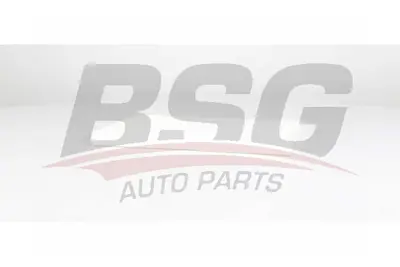 bsg-60-145-032-polen-filtresi