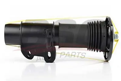 bsg-60-300-020-amortisor-on