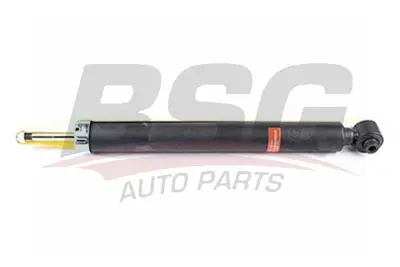 bsg-60-300-048-amortisor-arka