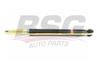 bsg-60-300-049-amortisor-arka