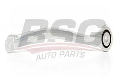 bsg-60-310-057-rotilli-kol-arka