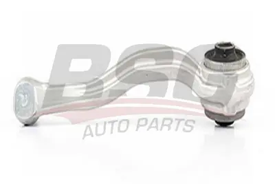 bsg-60-310-137-rotilli-kol-ust-sag