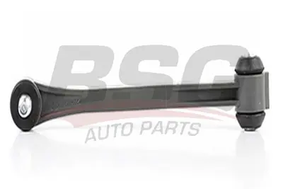 bsg-60-310-166-viraj-aski-rotu-arka