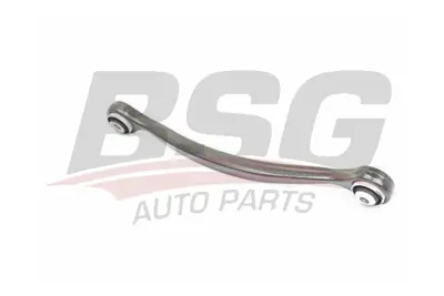 bsg-60-310-244-salincak-arka