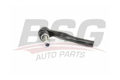 bsg-60-310-250-rot-basi-sag