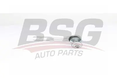bsg-60-310-270-rot-basi-on