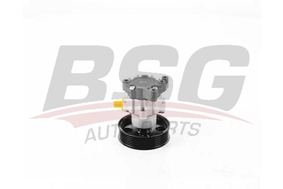 bsg-60-355-032-direksiyon-pompasi