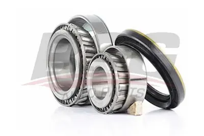 bsg-60-600-005-porya-rulmani-on