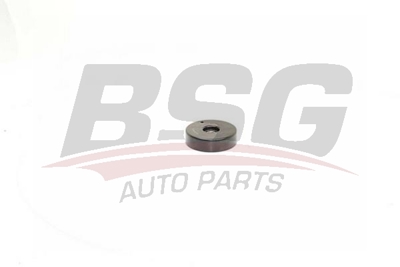 bsg-60-615-021-v-kayis-gergi-rulmani