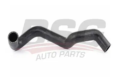 bsg-60-720-055-radyator-hortumu-alt