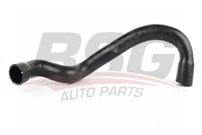 bsg-60-720-062-radyator-hortumu-alt