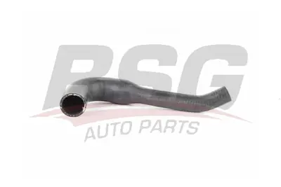 bsg-60-720-214-radyator-hortumu