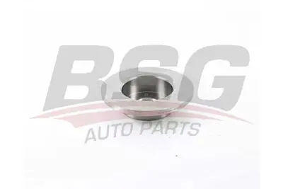 bsg-63-210-002-fren-diski-on