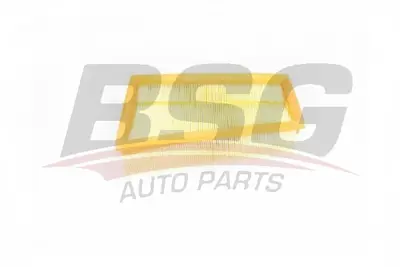 bsg-75-135-003-hava-filtresi