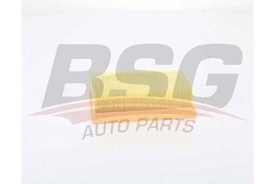 bsg-75-135-022-hava-filtresi