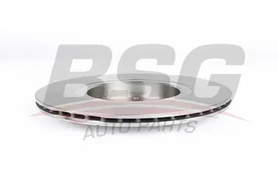 bsg-75-210-006-fren-diski-on